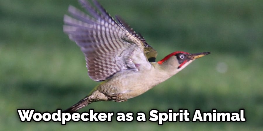  Woodpecker as a Spirit Animal