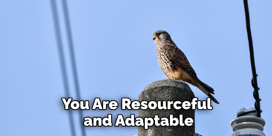 You Are Also Resourceful and Adaptable