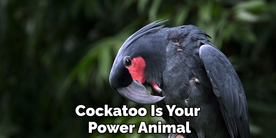 cockatoo is your power animal 1