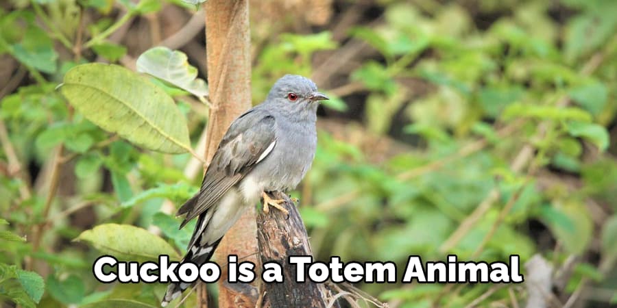 cuckoo is your totem animal
