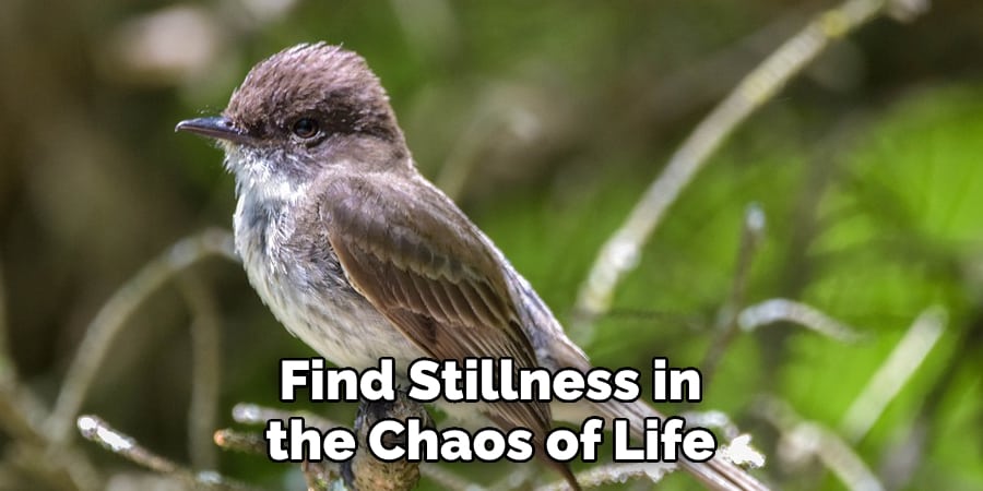  find stillness in the chaos of life.