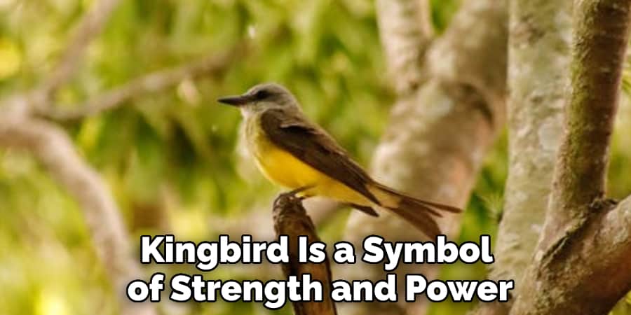 'kingbird Is a Symbol of Strength and Power