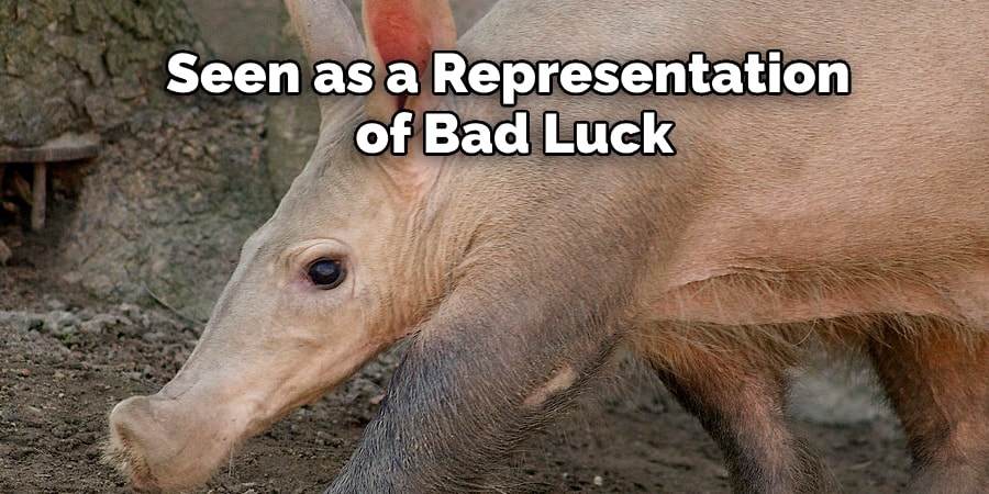 Aardvark Is Often Seen as a Representation of Bad Luck