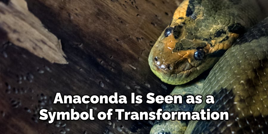 Anaconda Is Seen as a Symbol of Transformation