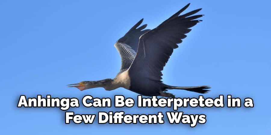 Anhinga Can Be Interpreted in a Few Different Ways