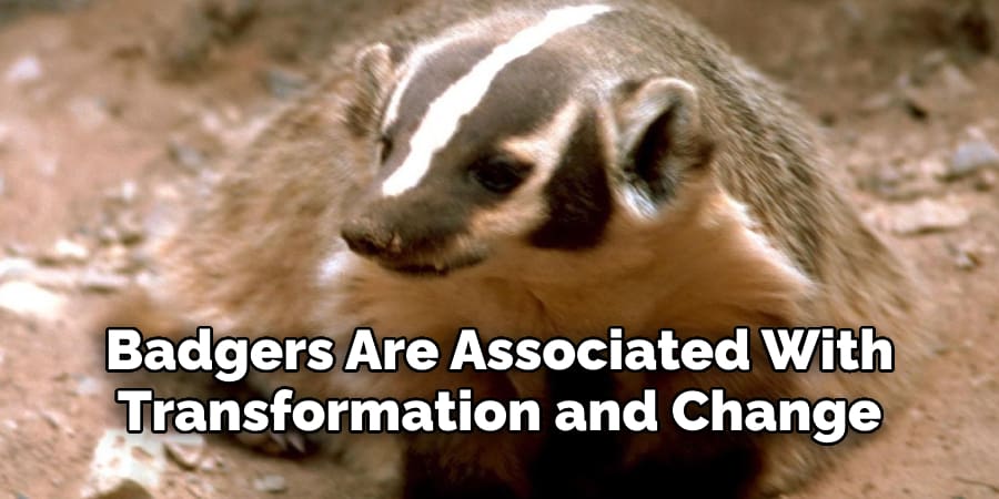 Badgers Are Also Associated  With Transformation and Change