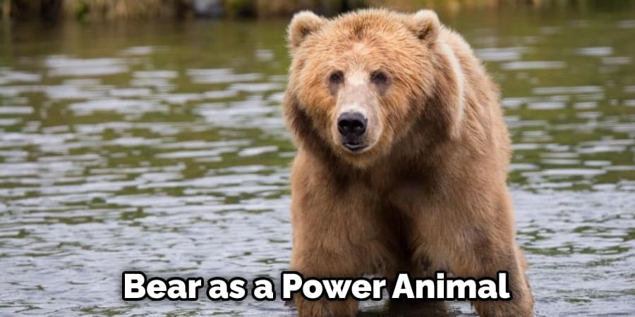 Bear as a Power Animal