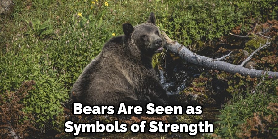 Bears Are Seen as Symbols of Strength