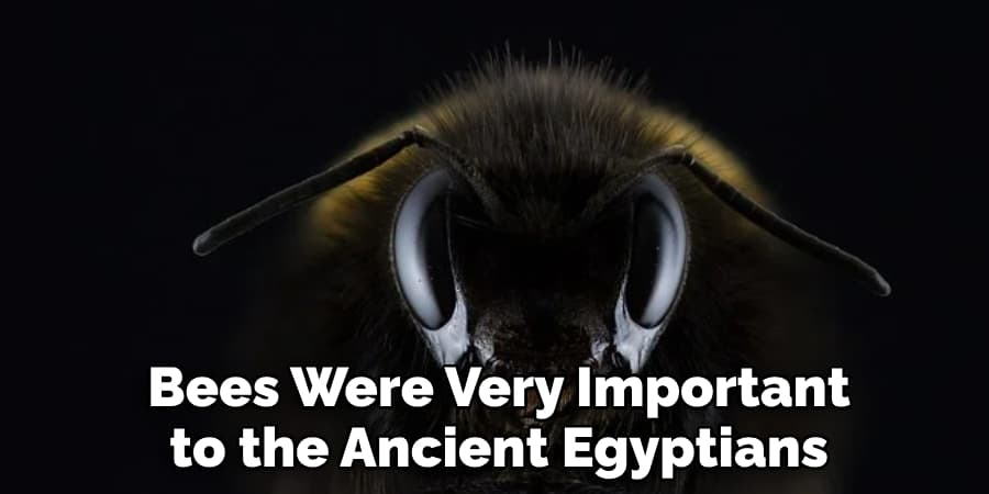 Bees Were Very Important to the Ancient Egyptians