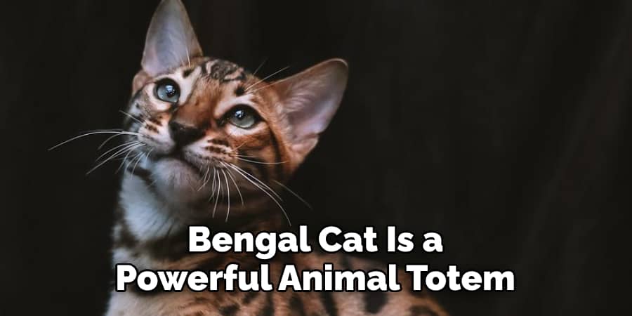 Bengal Cat Is a Powerful Animal Totem