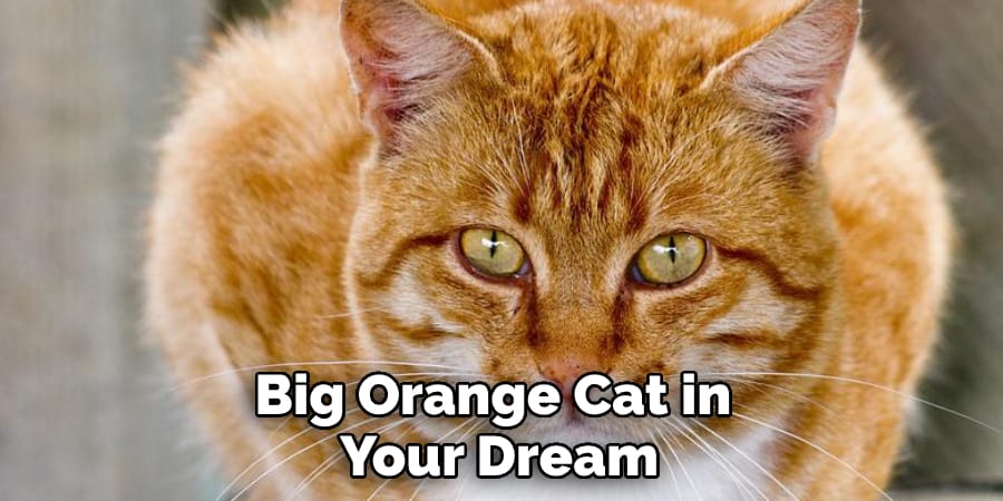 Big Orange Cat in Your Dream