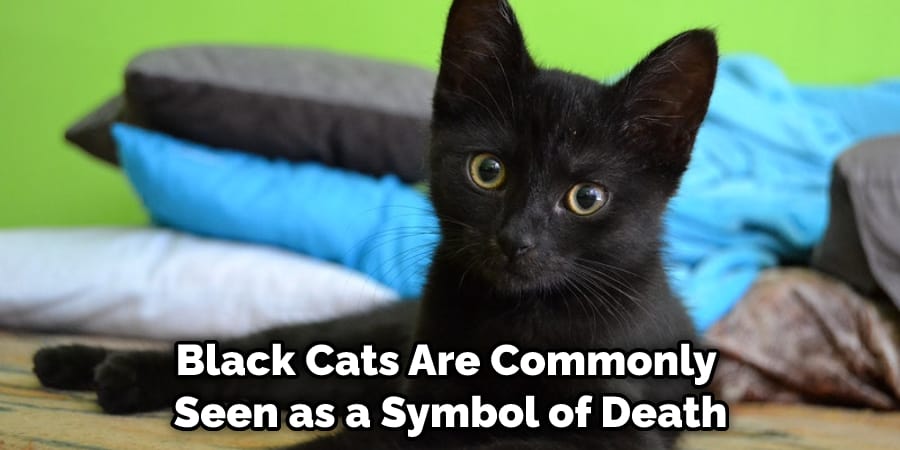 Black Cats Are Commonly  Seen as a Symbol of Death