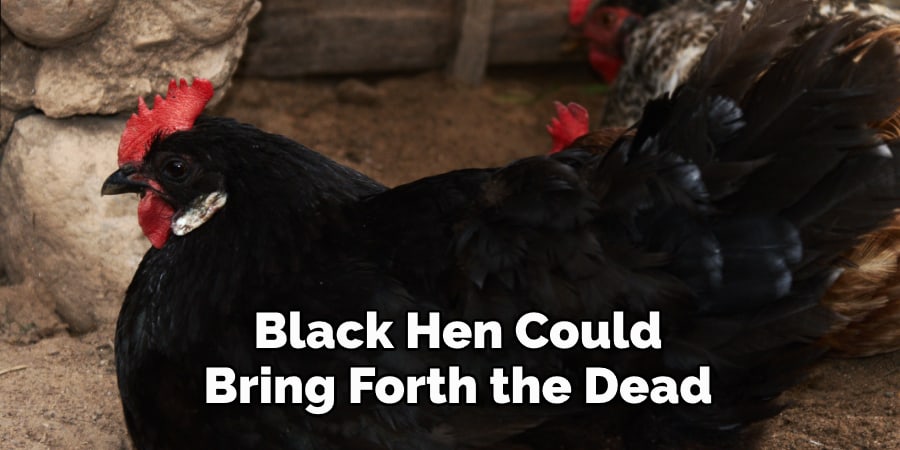 Black Hen Could  Bring Forth the Dead