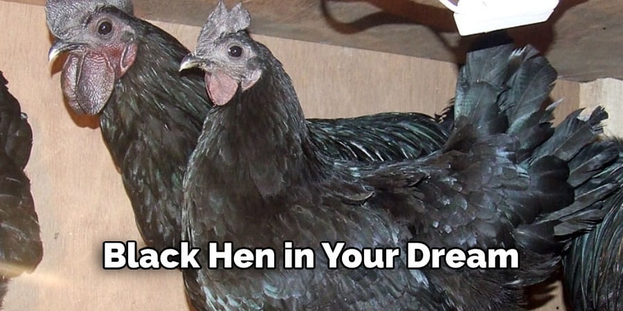Black Hen in Your Dream 