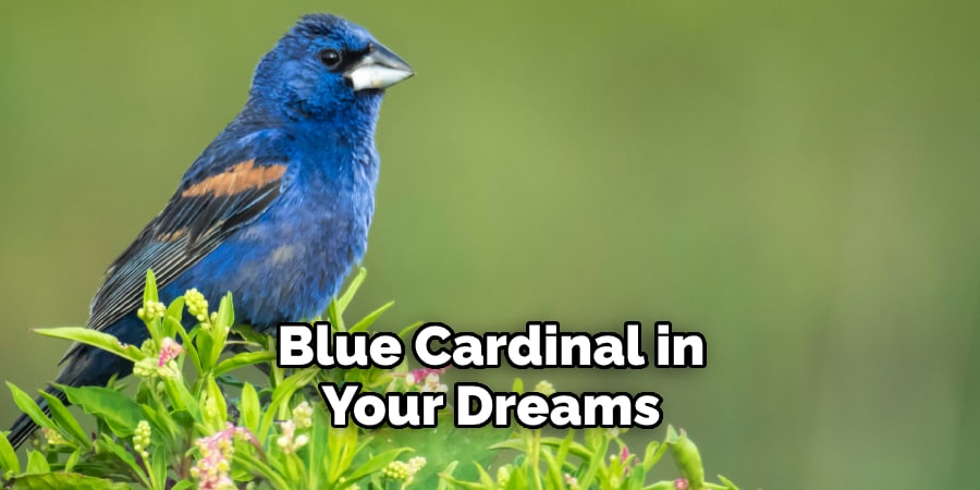 Blue Cardinal in Your Dreams