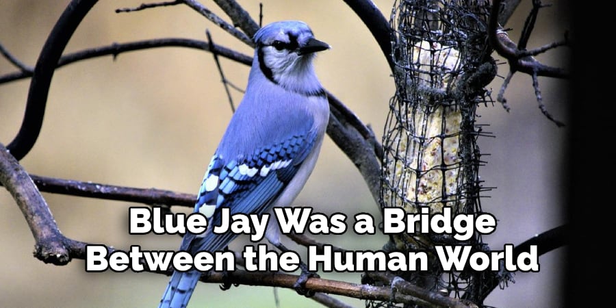 Blue Jay Was a Bridge  Between the Human World