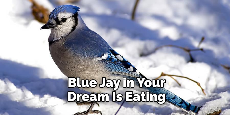 Blue Jay in Your  Dream Is Eating