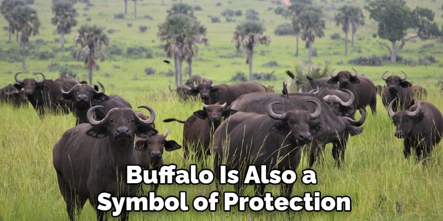 Buffalo Is Also a Symbol of Protection
