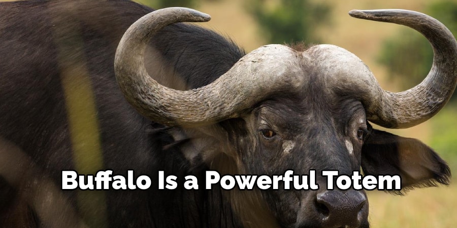 Buffalo Is a Powerful Totem