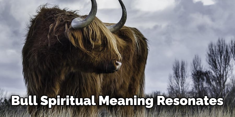 Bull Spiritual Meaning Resonates