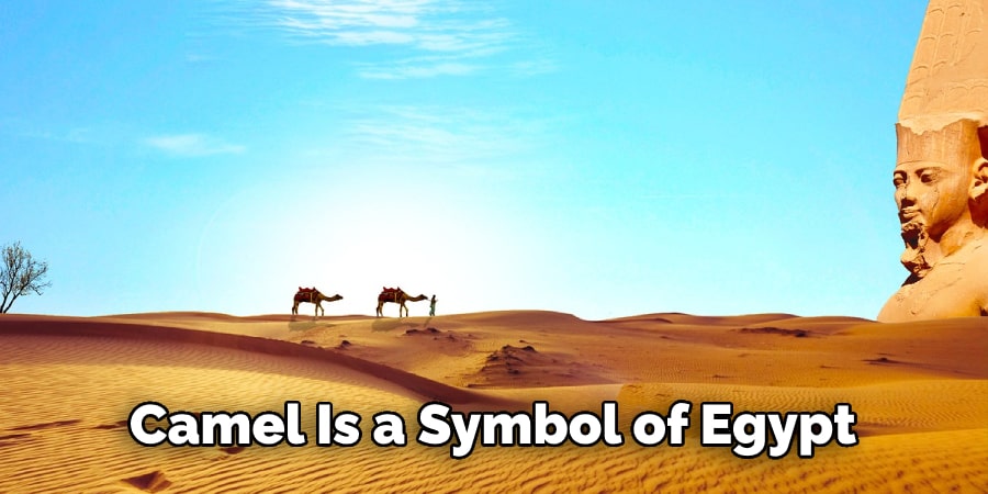 Camel Is a Symbol of Egypt