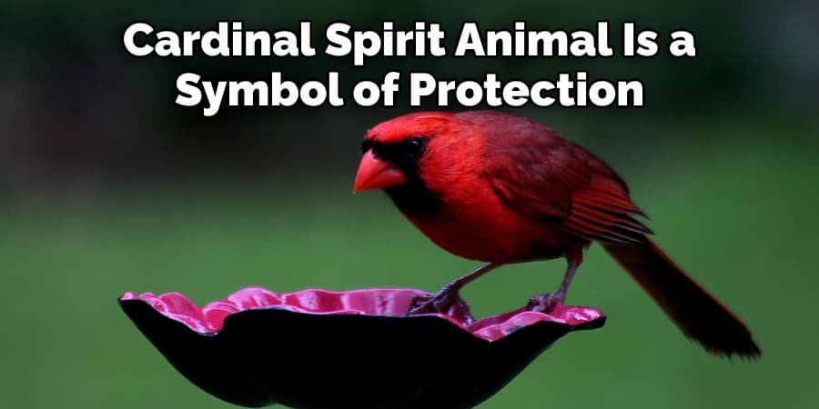 Cardinal Spirit Animal Is a  Symbol of Protection