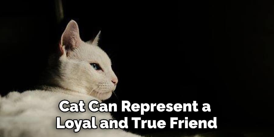 Cat Can Represent a  Loyal and True Friend