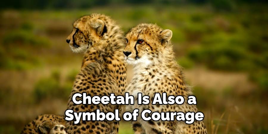 Cheetah Is Also a Symbol of Courage