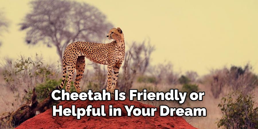 Cheetah Is Friendly or  Helpful in Your Dream