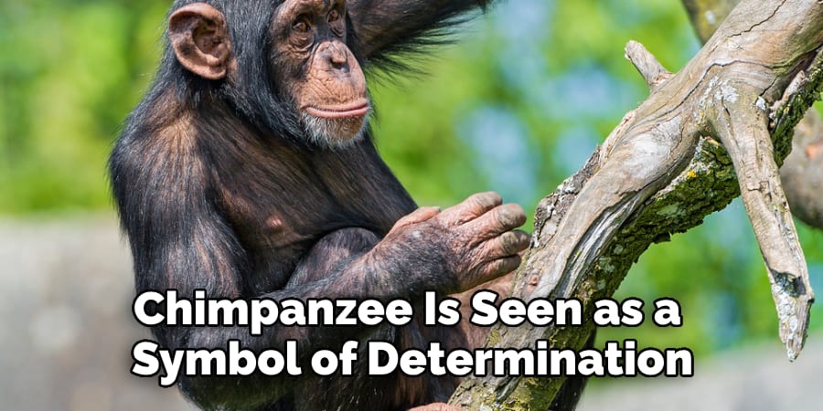 Chimpanzee Is Seen as a  Symbol of Determination