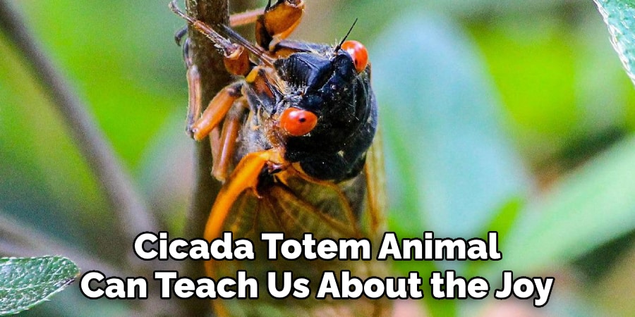  Cicada Totem Animal Can Teach Us About the Joy