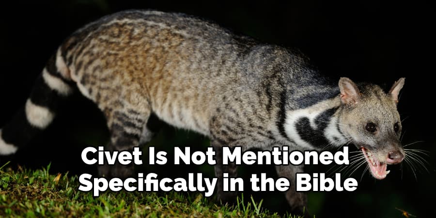 Civet Is Not Mentioned  Specifically in the Bible