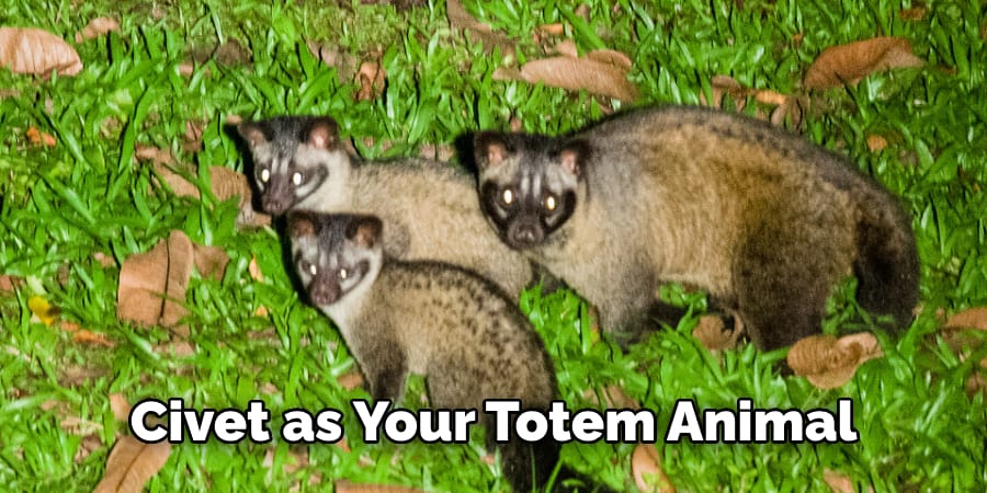 Civet as Your Totem Animal 