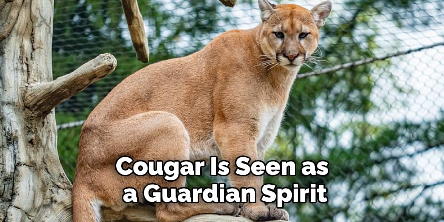 Cougar Is Seen as  a Guardian Spirit