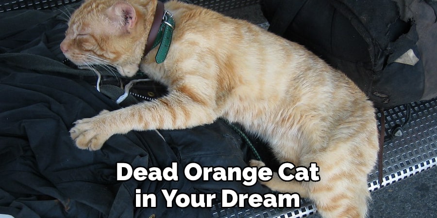 Dead Orange Cat in Your Dream