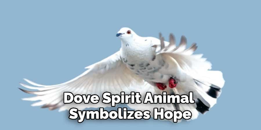 Dove Spirit Animal Symbolizes Hope