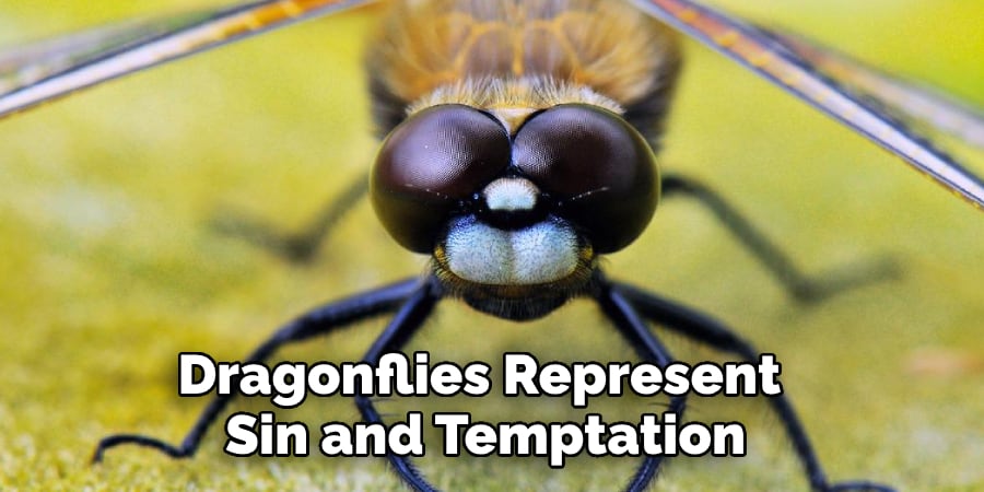 Dragonflies Represent Sin and Temptation