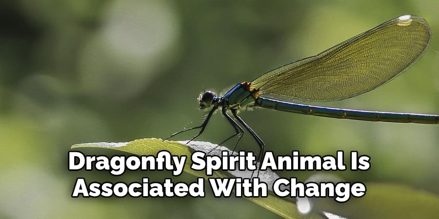Dragonfly Spirit Animal Is  Associated With Change