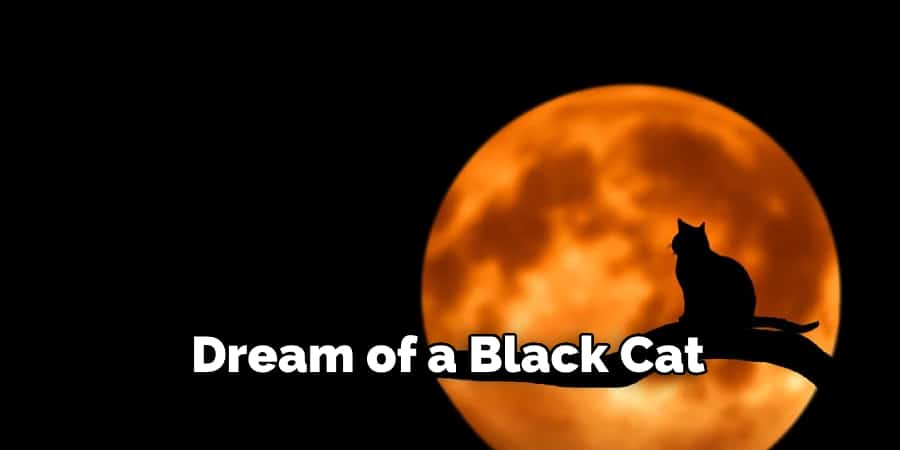 Dream of a Black Cat