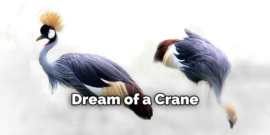 Dream of a Crane
