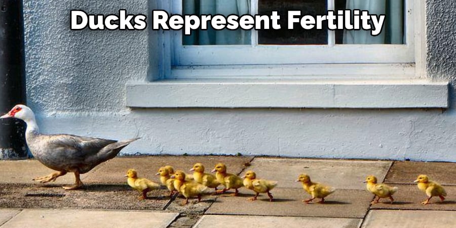Ducks Represent Fertility