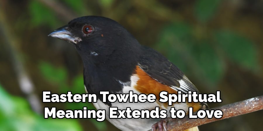 Eastern Towhee Spiritual Meaning Extends to Love and Relationships