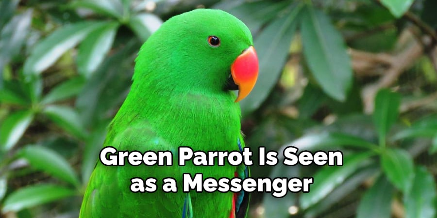 Green Parrot Is Seen as a Messenger