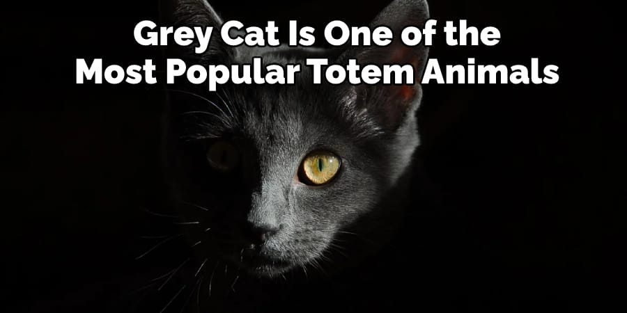 Grey Cat Is One of the Most Popular Totem Animals