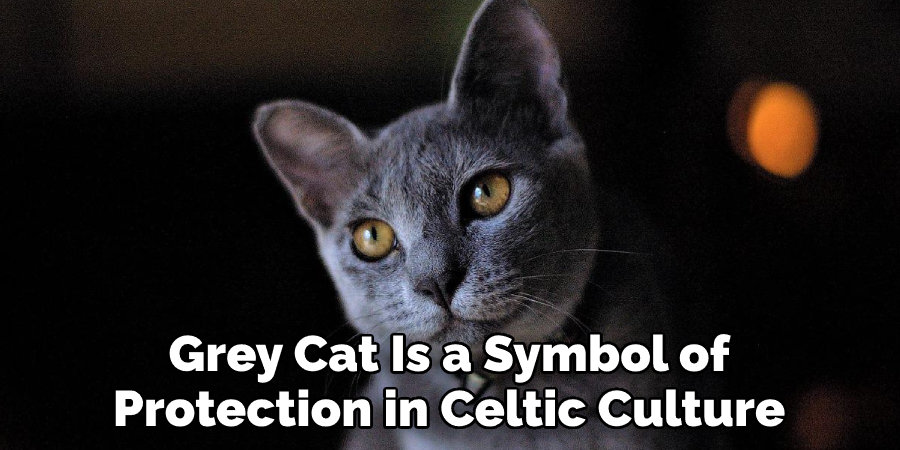 Grey Cat Is a Symbol of  Protection in Celtic Culture