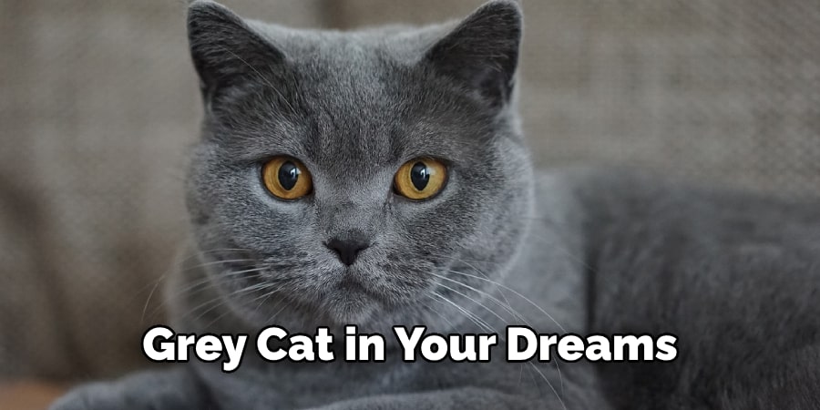 Grey Cat in Your Dreams