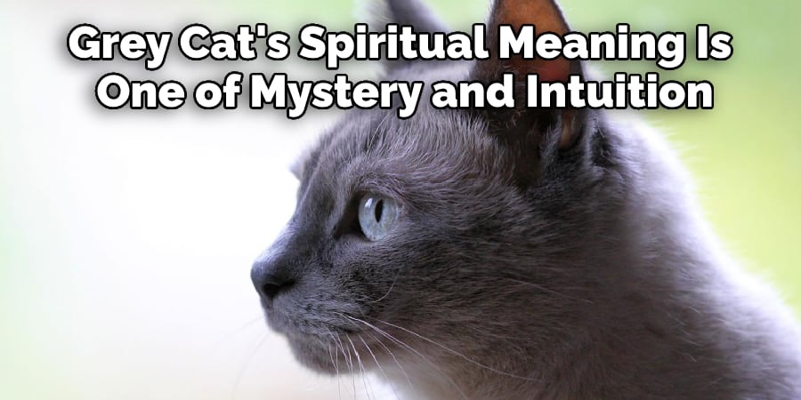 Grey Cat's Spiritual Meaning Is One of Mystery and Intuition