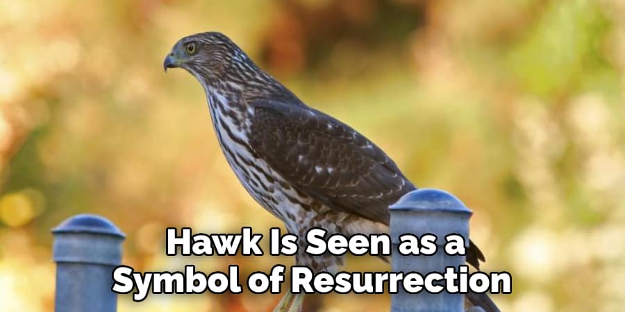  Hawk Is Seen as a Symbol of Resurrection