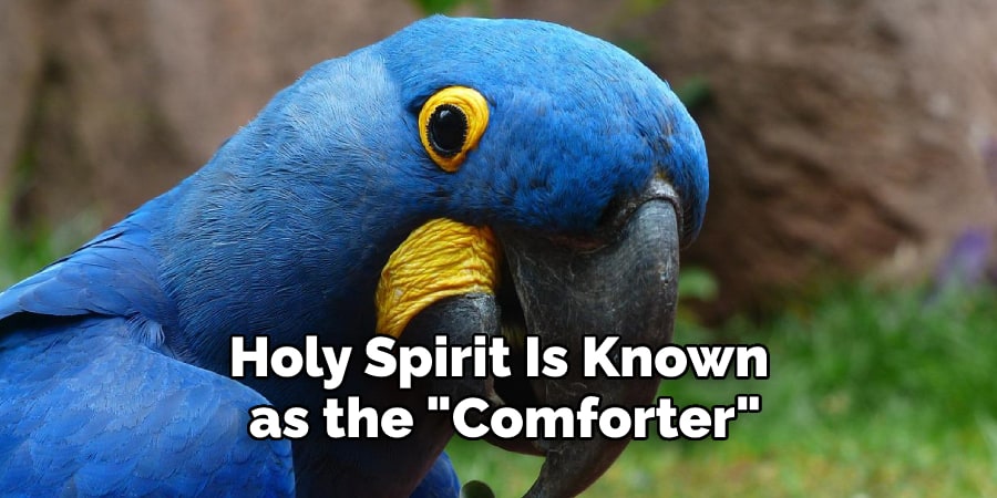 Holy Spirit Is Known as the Comforter