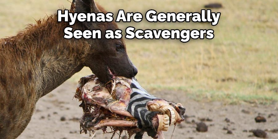 Hyenas Are Generally Seen as Scavengers